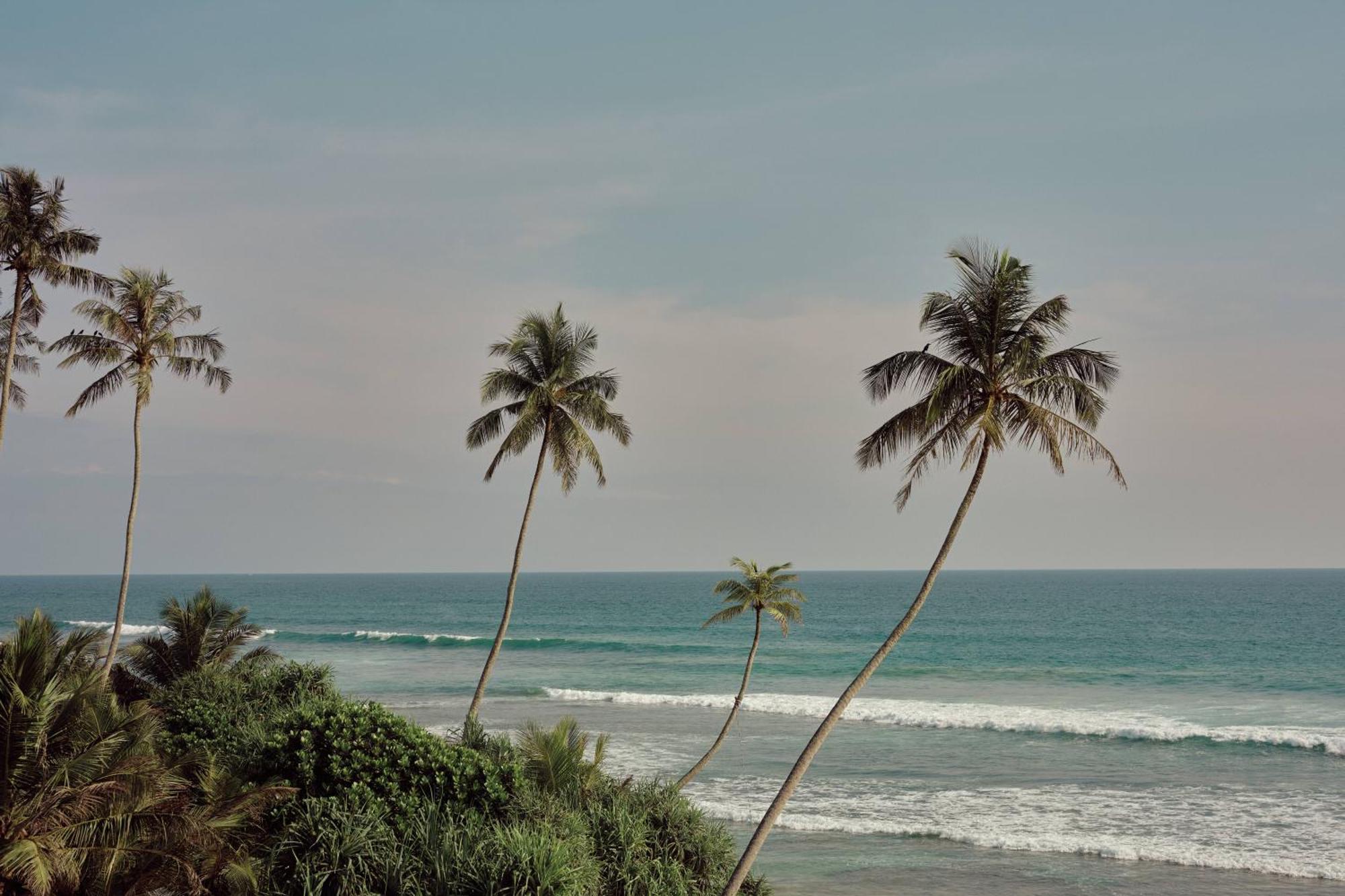 Gitano Surf Ahangama Beachfront Kültér fotó